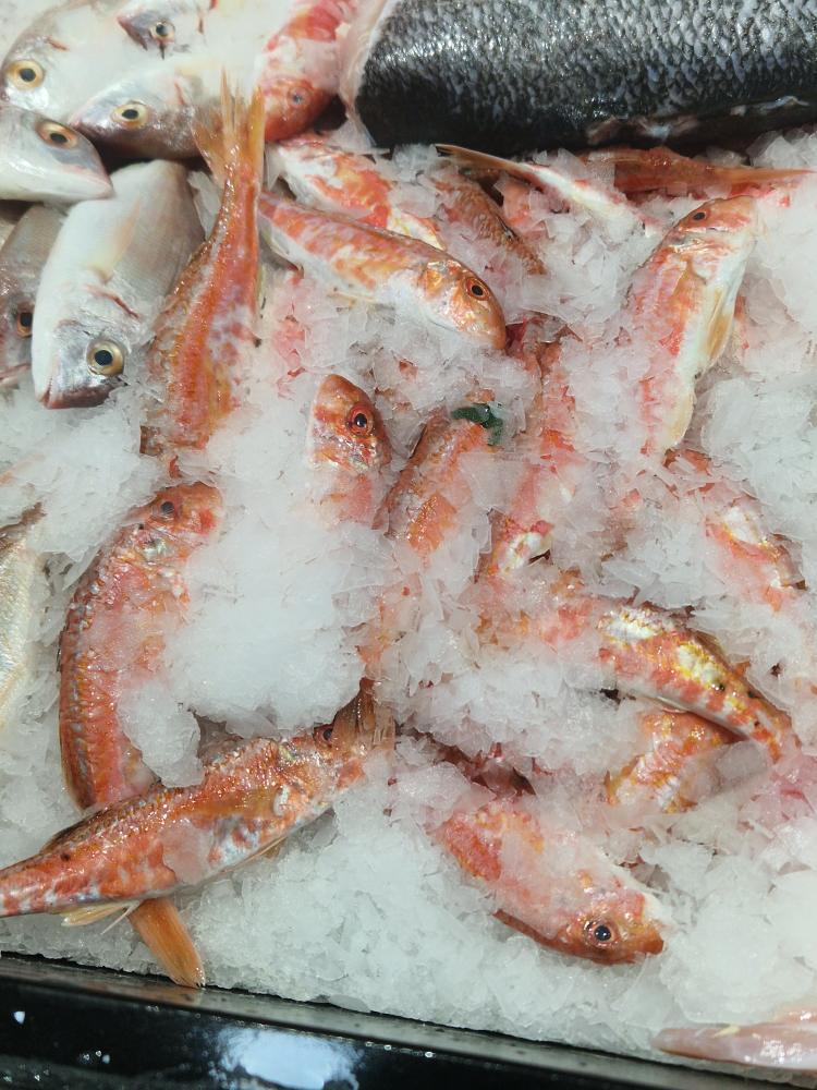 Montymar · Foto’s 4